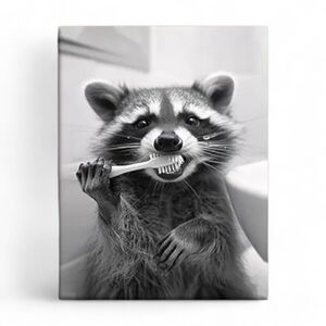Canvas Wall Art Framed - 12x16 - Raccoon Bathroom Photo - Cute Funny Animal Art